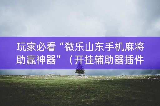 玩家必看“微乐山东手机麻将助赢神器”（开挂辅助器插件)