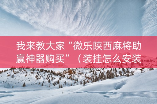 我来教大家“微乐陕西麻将助赢神器购买”（装挂怎么安装)