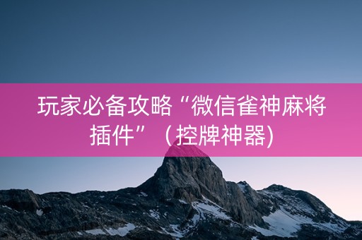 玩家必备攻略“微信雀神麻将插件”（控牌神器)