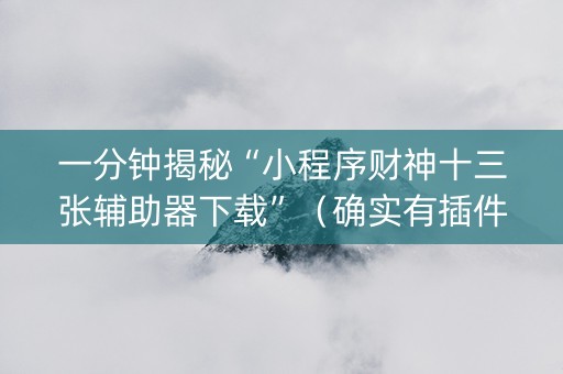 一分钟揭秘“小程序财神十三张辅助器下载”（确实有插件吗)