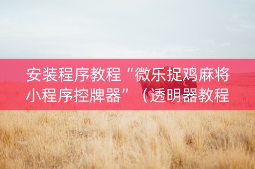 安装程序教程“微乐捉鸡麻将小程序控牌器”（透明器教程)