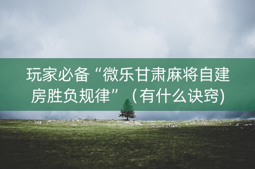 玩家必备“微乐甘肃麻将自建房胜负规律”（有什么诀窍)