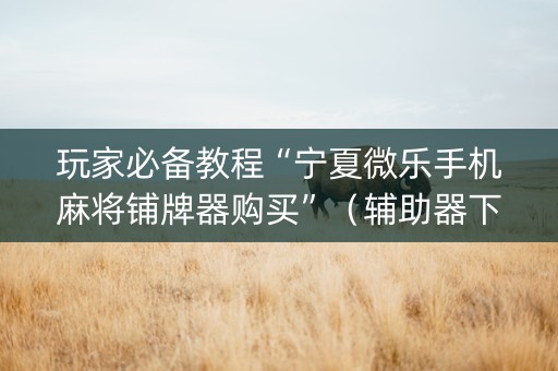 玩家必备教程“宁夏微乐手机麻将铺牌器购买”（辅助器下载)