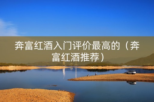 奔富红酒入门评价最高的（奔富红酒推荐）