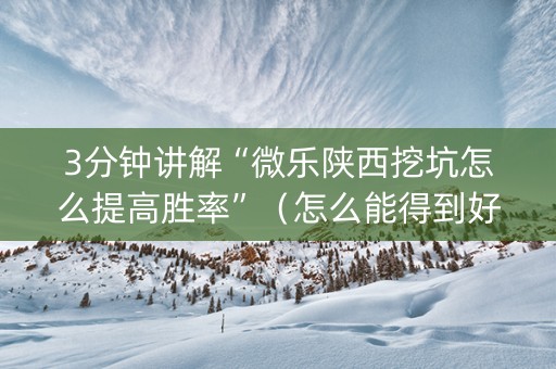 3分钟讲解“微乐陕西挖坑怎么提高胜率”（怎么能得到好牌)