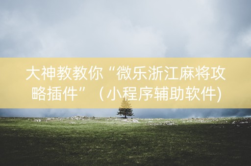 大神教教你“微乐浙江麻将攻略插件”（小程序辅助软件)