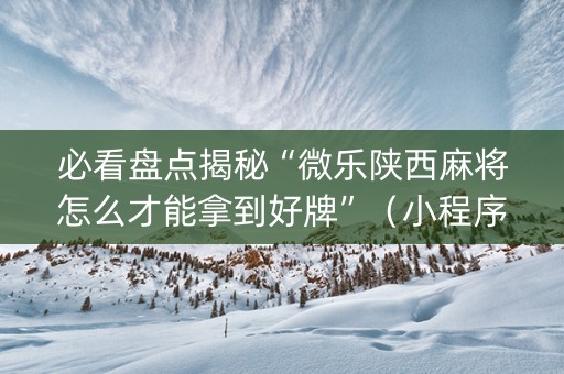 必看盘点揭秘“微乐陕西麻将怎么才能拿到好牌”（小程序辅助软件)