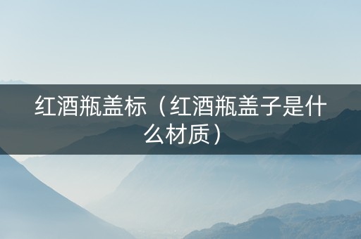 红酒瓶盖标（红酒瓶盖子是什么材质）