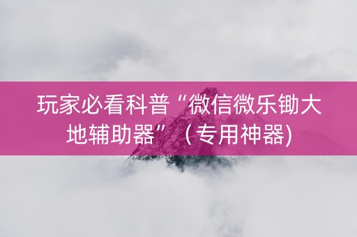 玩家必看科普“微信微乐锄大地辅助器”（专用神器)