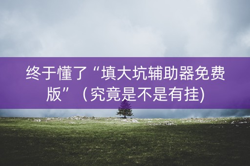 终于懂了“填大坑辅助器免费版”（究竟是不是有挂)