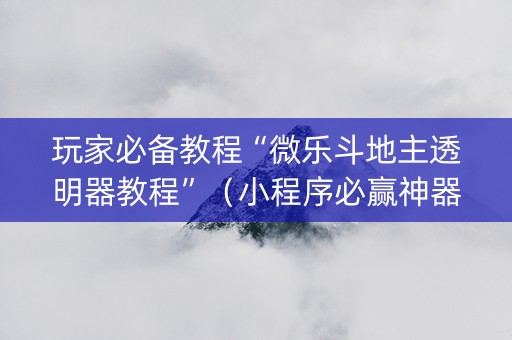 玩家必备教程“微乐斗地主透明器教程”（小程序必赢神器)