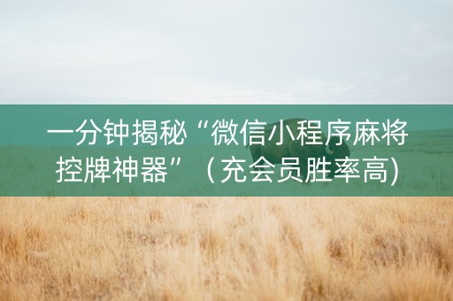一分钟揭秘“微信小程序麻将控牌神器”（充会员胜率高)