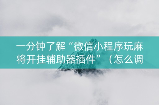 一分钟了解“微信小程序玩麻将开挂辅助器插件”（怎么调胜率)