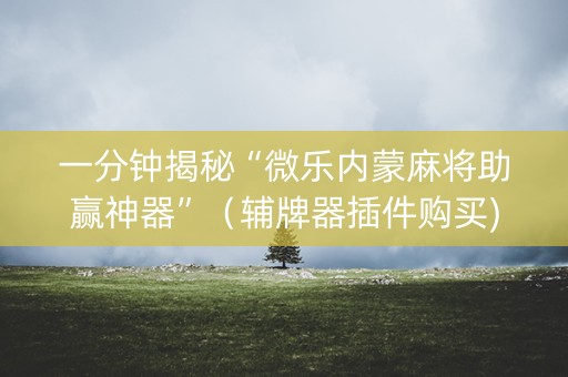 一分钟揭秘“微乐内蒙麻将助赢神器”（辅牌器插件购买)