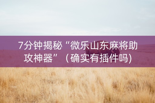 7分钟揭秘“微乐山东麻将助攻神器”（确实有插件吗)
