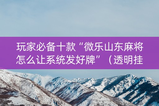 玩家必备十款“微乐山东麻将怎么让系统发好牌”（透明挂辅助器)