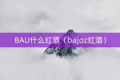 BAU什么红酒（bajoz红酒）