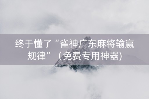 终于懂了“雀神广东麻将输赢规律”（免费专用神器)