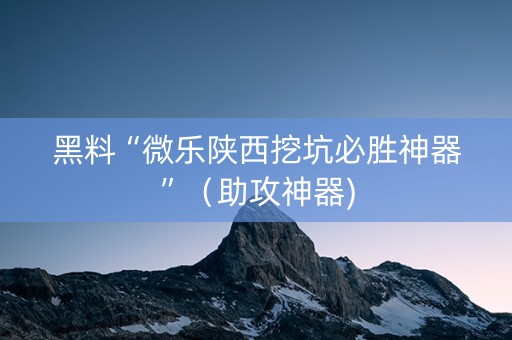 黑料“微乐陕西挖坑必胜神器”（助攻神器)