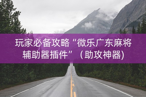 玩家必备攻略“微乐广东麻将辅助器插件”（助攻神器)