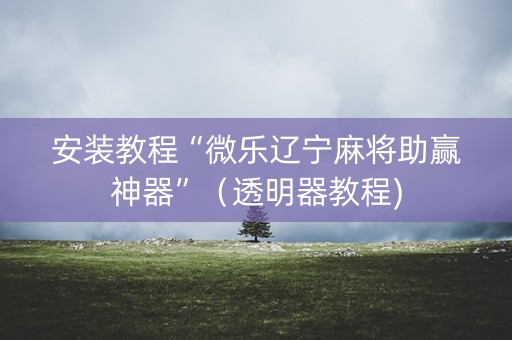 安装教程“微乐辽宁麻将助赢神器”（透明器教程)