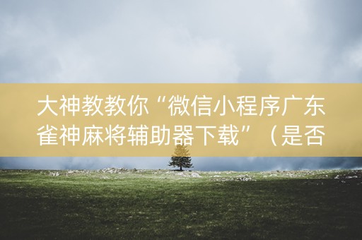 大神教教你“微信小程序广东雀神麻将辅助器下载”（是否能开挂)