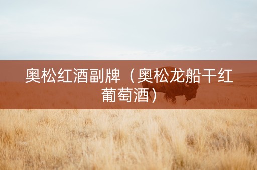 奥松红酒副牌（奥松龙船干红葡萄酒）