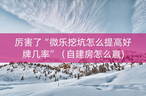 厉害了“微乐挖坑怎么提高好牌几率”（自建房怎么赢)