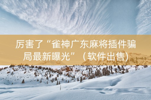 厉害了“雀神广东麻将插件骗局最新曝光”（软件出售)
