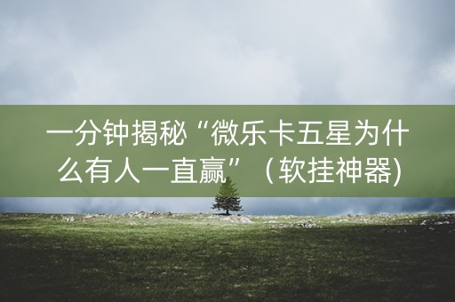 一分钟揭秘“微乐卡五星为什么有人一直赢”（软挂神器)