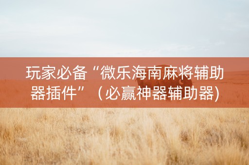 玩家必备“微乐海南麻将辅助器插件”（必赢神器辅助器)