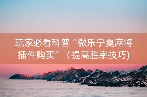 玩家必看科普“微乐宁夏麻将插件购买”（提高胜率技巧)