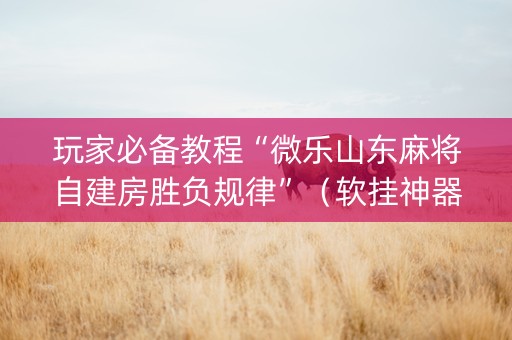 玩家必备教程“微乐山东麻将自建房胜负规律”（软挂神器)