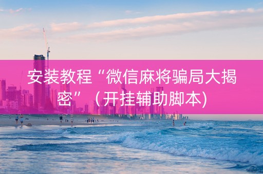 安装教程“微信麻将骗局大揭密”（开挂辅助脚本)