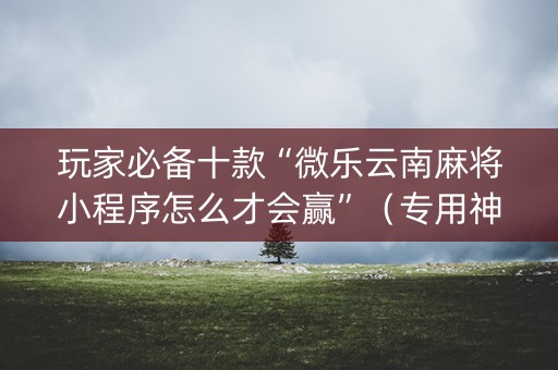 玩家必备十款“微乐云南麻将小程序怎么才会赢”（专用神器下载)