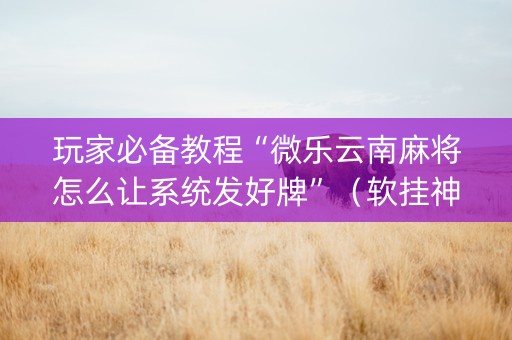 玩家必备教程“微乐云南麻将怎么让系统发好牌”（软挂神器)