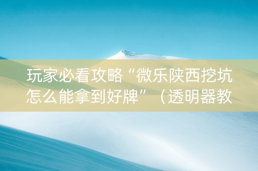 玩家必看攻略“微乐陕西挖坑怎么能拿到好牌”（透明器教程)