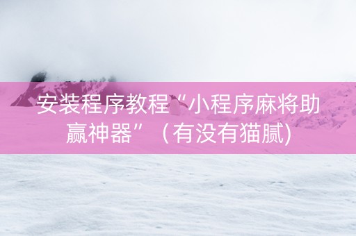 安装程序教程“小程序麻将助赢神器”（有没有猫腻)