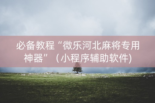 必备教程“微乐河北麻将专用神器”（小程序辅助软件)