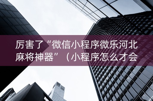厉害了“微信小程序微乐河北麻将神器”（小程序怎么才会赢)