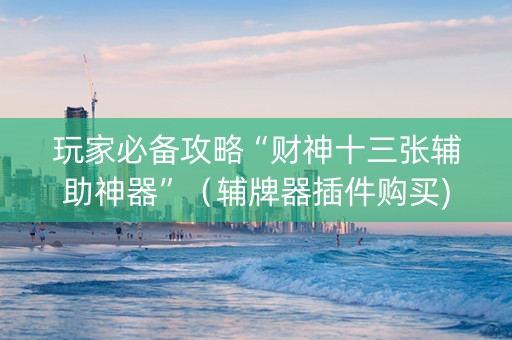 玩家必备攻略“财神十三张辅助神器”（辅牌器插件购买)