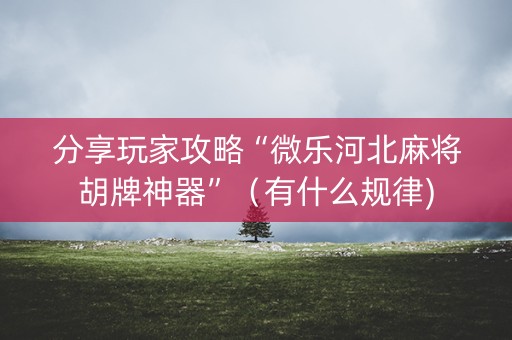 分享玩家攻略“微乐河北麻将胡牌神器”（有什么规律)