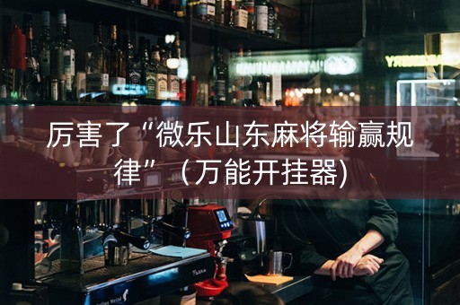 厉害了“微乐山东麻将输赢规律”（万能开挂器)
