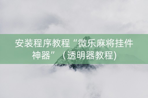 安装程序教程“微乐麻将挂件神器”（透明器教程)