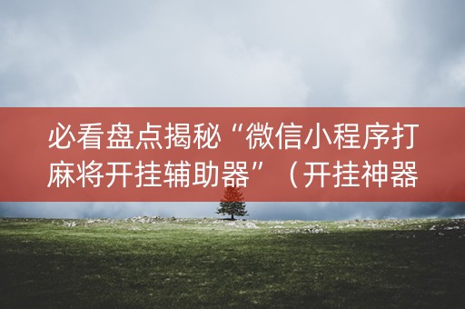 必看盘点揭秘“微信小程序打麻将开挂辅助器”（开挂神器下载)