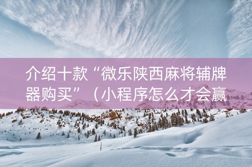 介绍十款“微乐陕西麻将辅牌器购买”（小程序怎么才会赢)