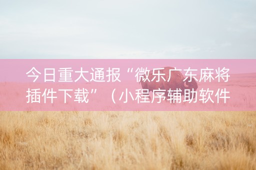 今日重大通报“微乐广东麻将插件下载”（小程序辅助软件)