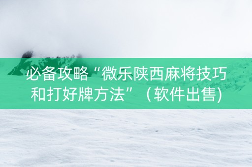 必备攻略“微乐陕西麻将技巧和打好牌方法”（软件出售)