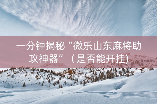 一分钟揭秘“微乐山东麻将助攻神器”（是否能开挂)
