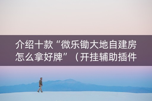 介绍十款“微乐锄大地自建房怎么拿好牌”（开挂辅助插件)